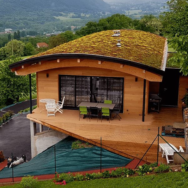 Maison neuve sur terrain pentu avec une toiture végétalisée